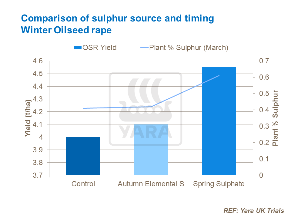 Comparison of sulphur source and timing for winter oilseed rape